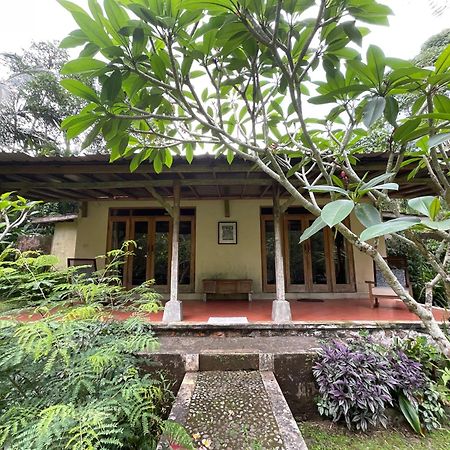Carik Tangis Boutique Homestay ジャティルウィ エクステリア 写真