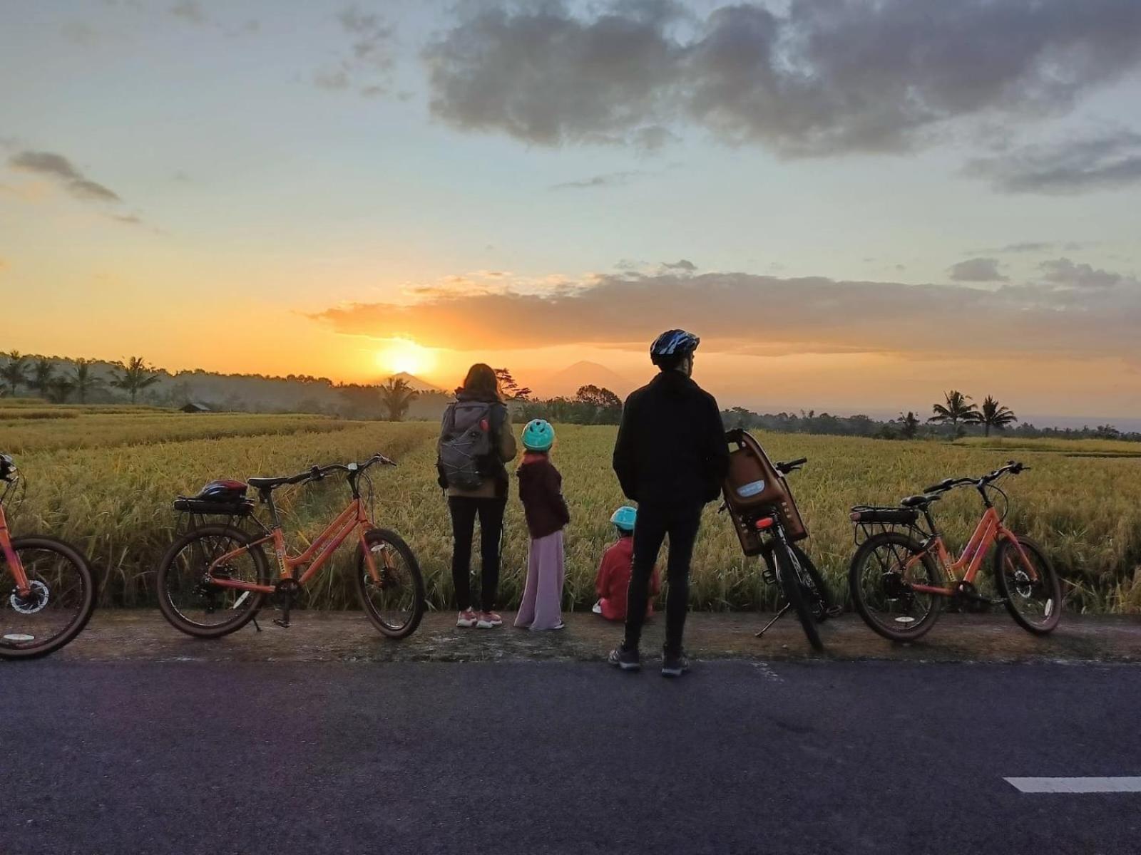 Carik Tangis Boutique Homestay ジャティルウィ エクステリア 写真
