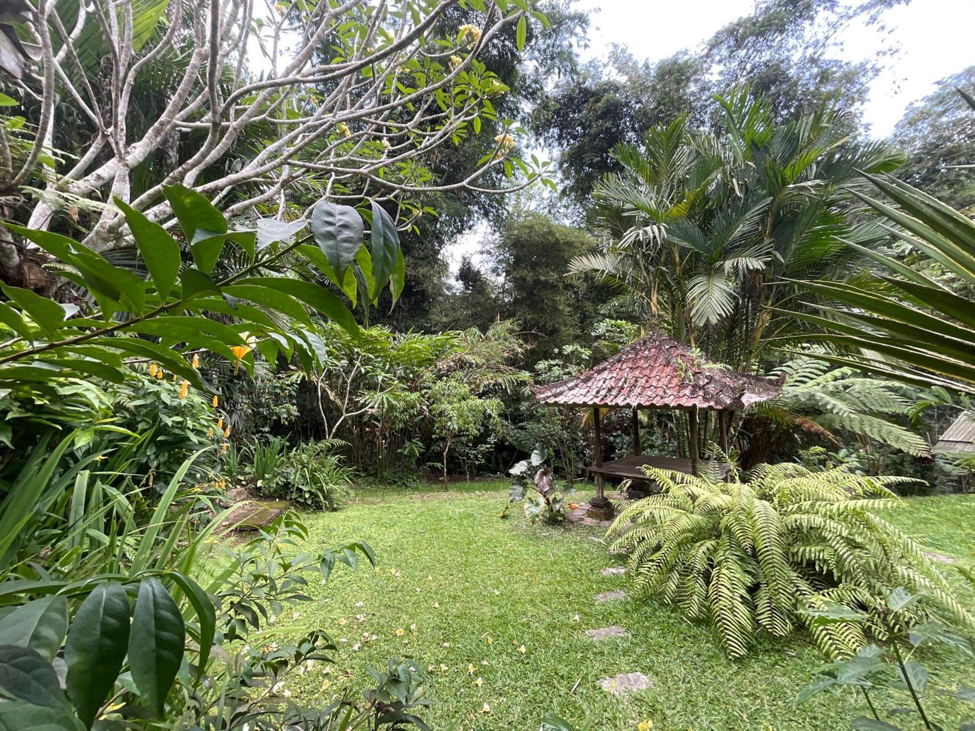 Carik Tangis Boutique Homestay ジャティルウィ エクステリア 写真