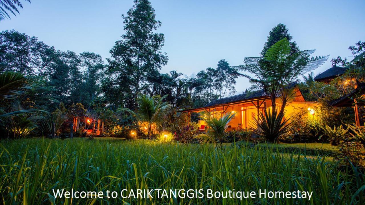 Carik Tangis Boutique Homestay ジャティルウィ エクステリア 写真
